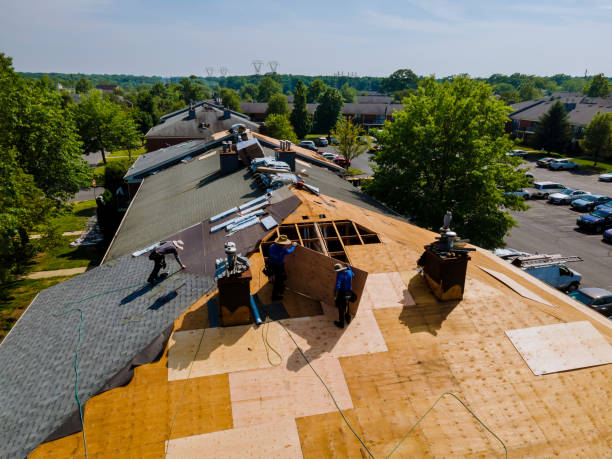 Quick and Trustworthy Emergency Roof Repair Services in Mclendon Chisholm, TX