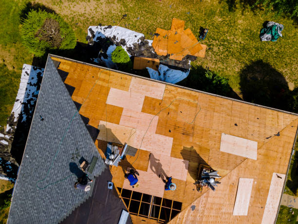 Best Gutter Installation and Roofing  in Mclendon Chisholm, TX