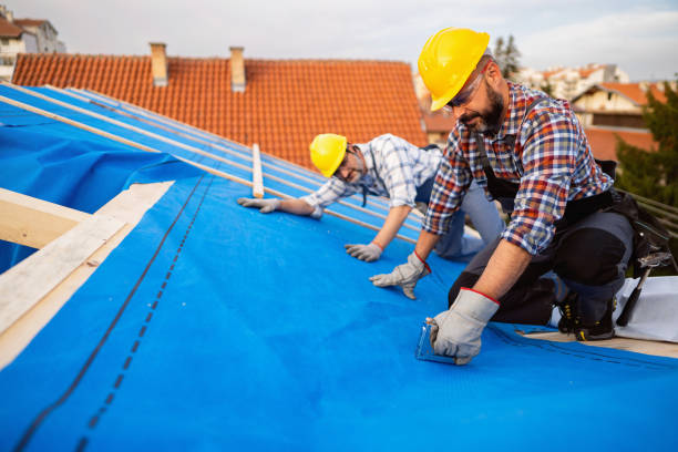 Best Roof Waterproofing Services  in Mclendon Chisholm, TX