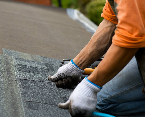 Best Roof Gutter Cleaning  in Mclendon Chisholm, TX