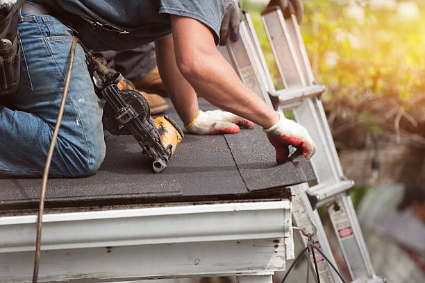 Best Roof Repair Services  in Mclendon Chisholm, TX